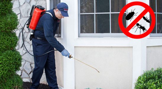 İmranlı Kene İlaçlama böcek ilaçlama ve haşere kontrolü — ilaclama-tr.com